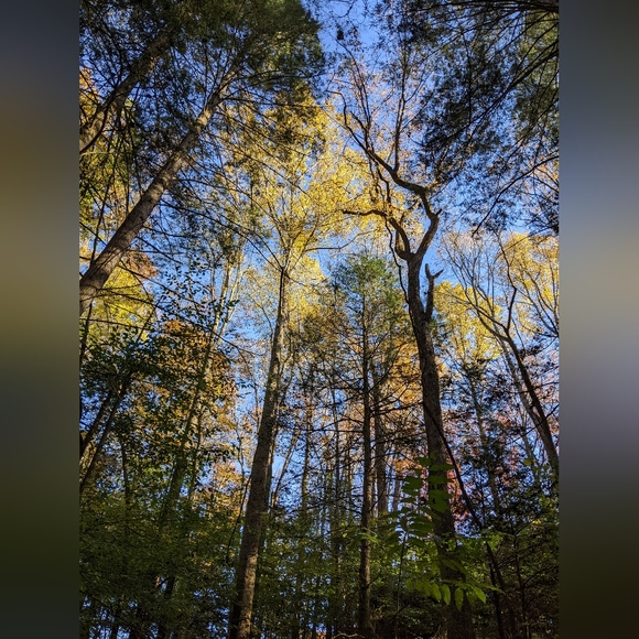 Crafted In West Virginia - Picture 2 of 16